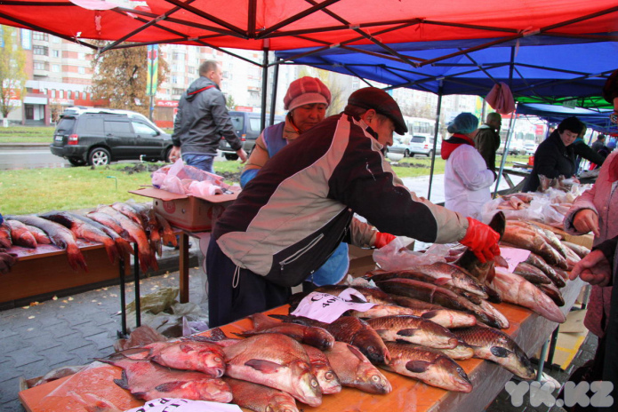 Эх, хвост, чешуя (+фото)